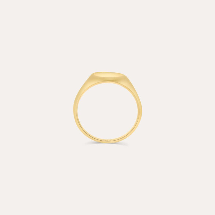 Siegelring | 585 Gold Ring