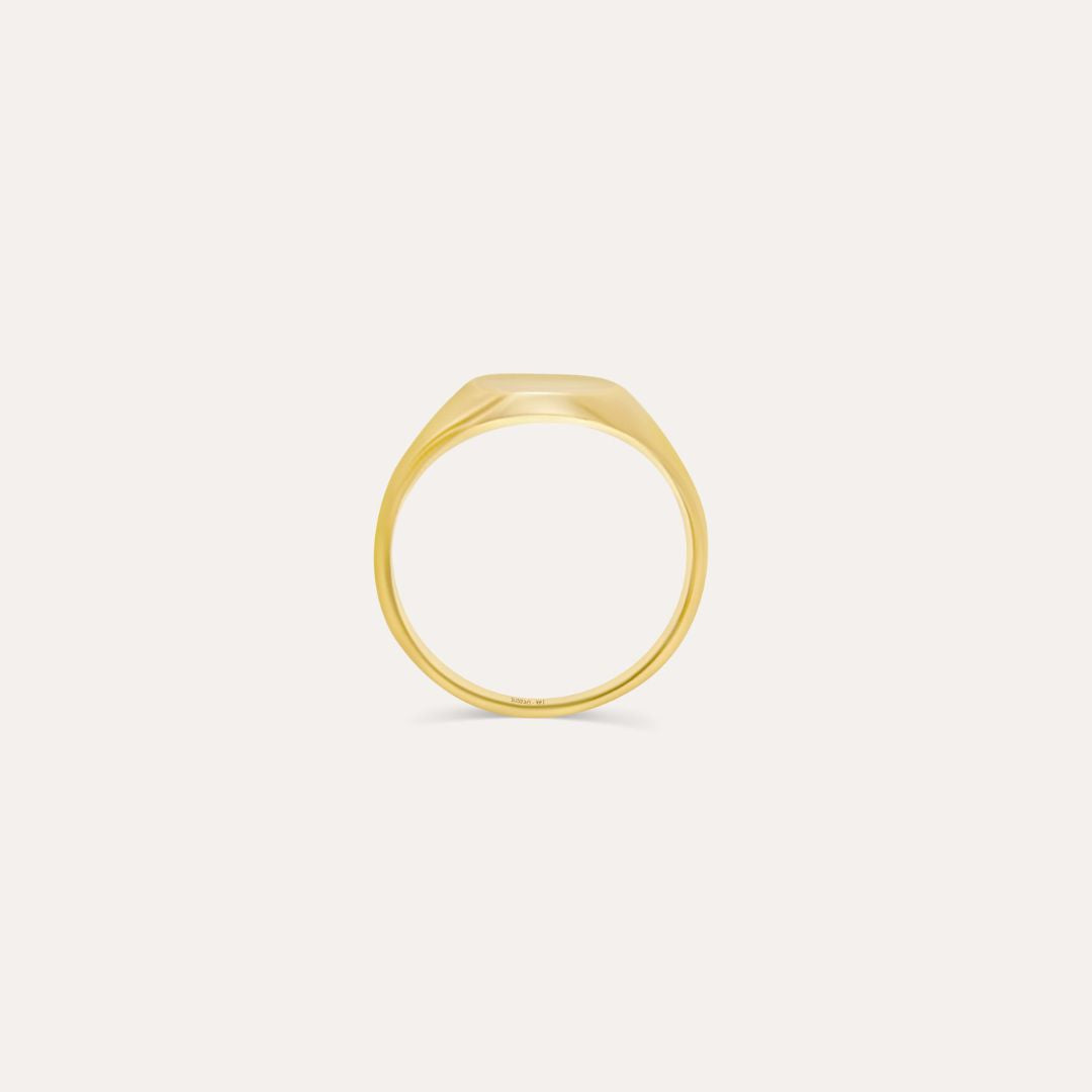 Siegelring Minimalistisch | 585 Gold Ring