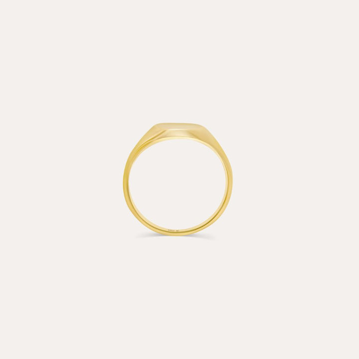 Siegelring Minimalistisch | 585 Gold Ring