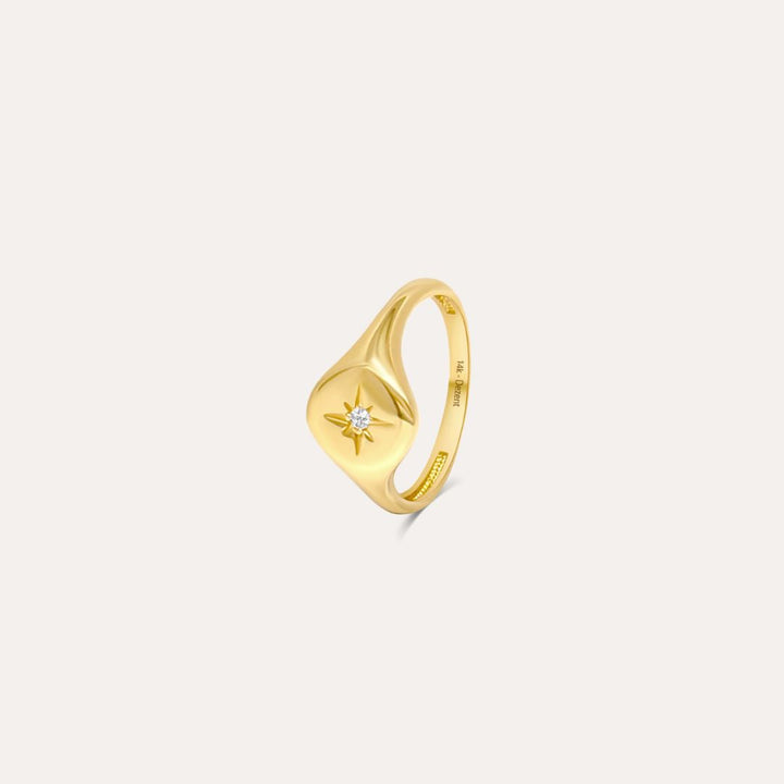 Siegelring Polarstern | 585 Gold Ring