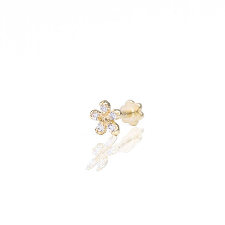 Tragus I Piercing 585 Gold I Verschiedene Modelle